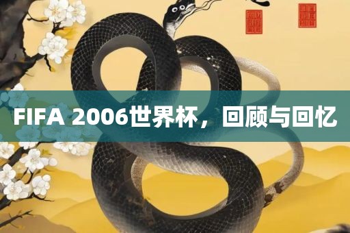 FIFA 2006世界杯，回顾与回洛阳市法福文化传播有限公司忆