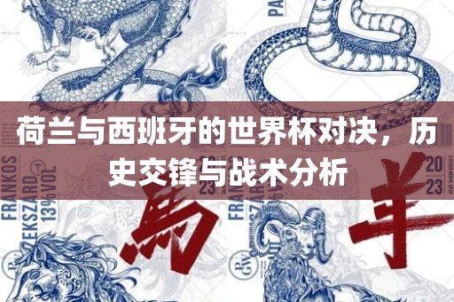 荷兰与西班牙的世界杯对决，历史交锋与战术分析