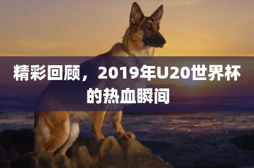 精彩回顾，2019年U20世界杯的热血瞬间