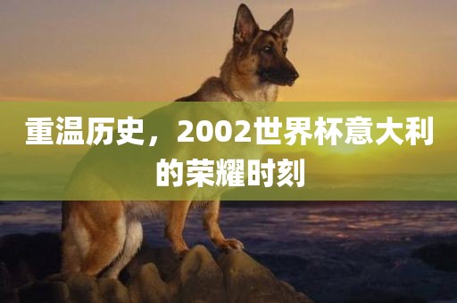 重温历史，2002世界杯意大利的荣耀时刻洛阳市法福文化传播有限公司