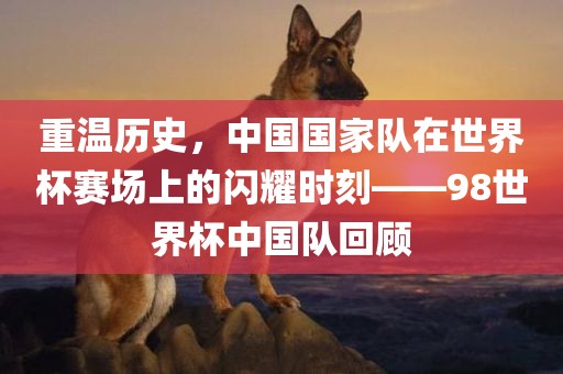 重温历史，中国国家队在世界杯赛场上的闪耀时刻——98世界杯中国队回顾洛阳市法福文化传播有限公司