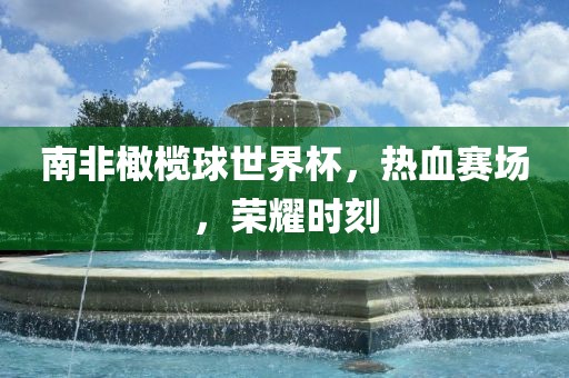 南非橄榄球世界杯，热血赛场，荣耀时刻洛阳市法福文化传播有限公司