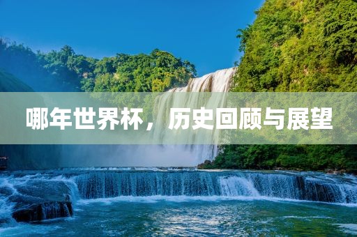 哪年世界杯，历史回顾与展望