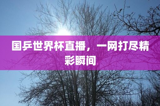 国乒世界杯直播，一网打尽精彩瞬间洛阳市法福文化传播有限公司