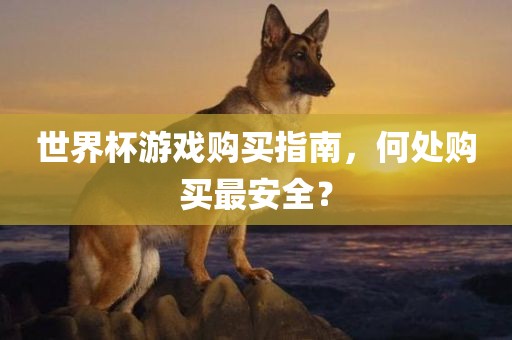 世界杯游戏购买指南，何处购买最安全？
