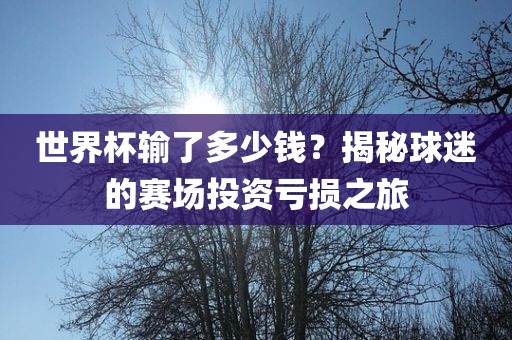 世界杯输了多少钱？揭秘球迷的赛场投资亏损之旅洛阳市法福文化传播有限公司
