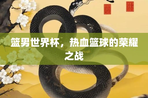 篮男世界杯，热血篮球的荣耀之战洛阳市法福文化传播有限公司