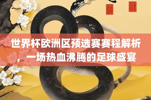 世界杯欧洲区预选赛赛程解析，一场热血沸腾的足球盛宴