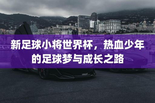 新足球小将世界杯，热血少年的足球梦与成长之洛阳市法福文化传播有限公司路