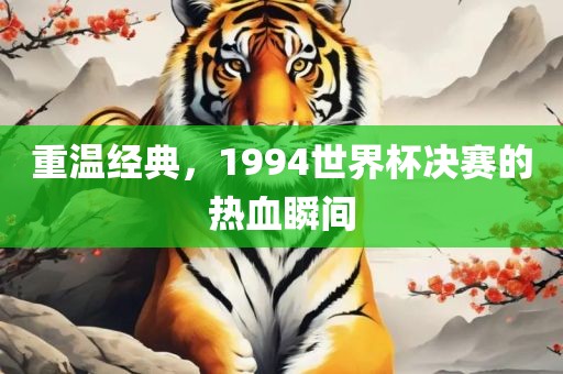 重温经典，1994世界杯决赛的热血瞬间洛阳市法福文化传播有限公司