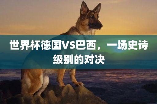 世界洛阳市法福文化传播有限公司杯德国VS巴西，一场史诗级别的对决