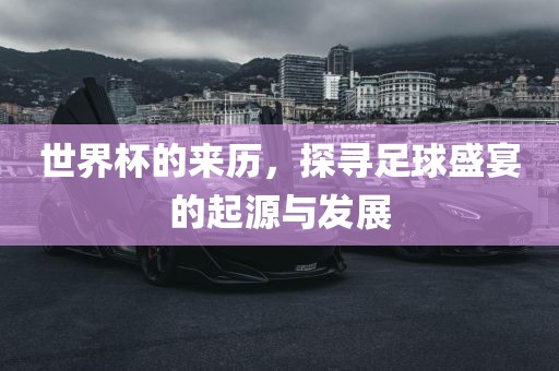 世界杯的来历，探寻足球盛宴的起源与发展洛阳市法福文化传播有限公司