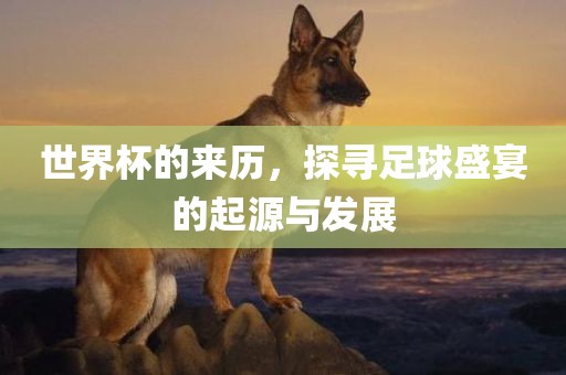 chenqimei 第8页