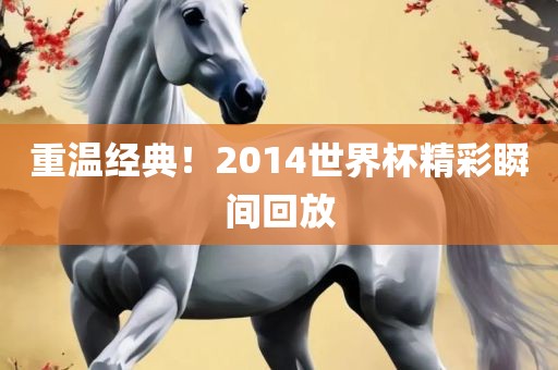 重温经典！2014世界杯精彩瞬间回放