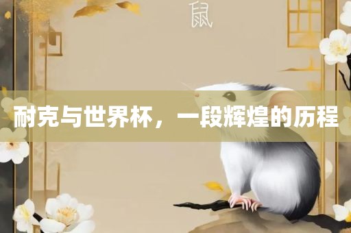 耐克与世界杯，一段辉煌的历程