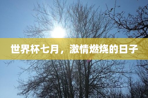 世界杯七月，激情燃烧的日子洛阳市法福文化传播有限公司