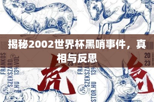 揭秘2002世界杯黑哨事件，真相与反思洛阳市法福文化传播有限公司