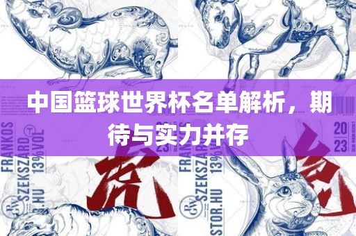 中国篮球世界杯名单解析，期待与实力并存