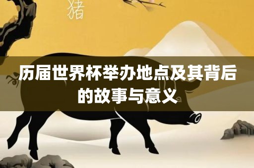 历届世界杯举办地点及其背后的故事与意义