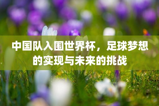 中国队入围世界杯，足球梦想的实现与未来的挑战