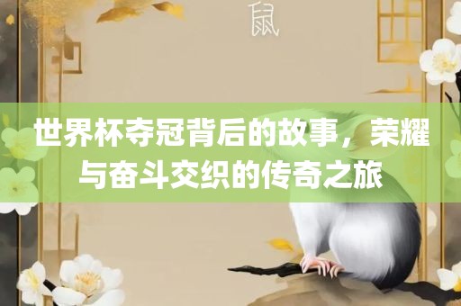 世界杯夺冠背后的故事，荣耀与奋斗交织的传奇之旅洛阳市法福文化传播有限公司