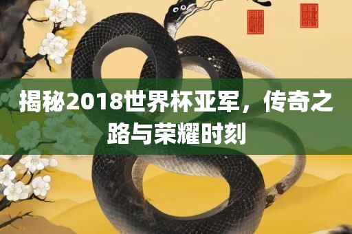揭秘2018世界杯亚军，传奇之路与荣耀时刻洛阳市法福文化传播有限公司
