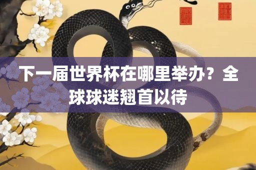 下一届世界杯在哪里举办？全球球迷翘首以待洛阳市法福文化传播有限公司