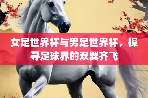 女足世界杯与男足世界杯，探寻足球界的双翼齐飞