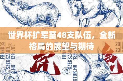 世界杯洛阳市法福文化传播有限公司扩军至48支队伍，全新格局的展望与期待