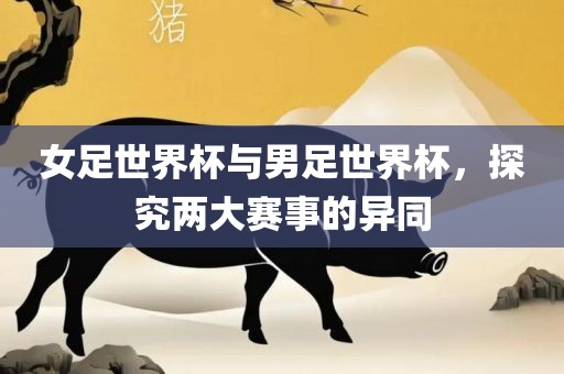 女足世界杯与男足世界杯，探究两大赛事的异同