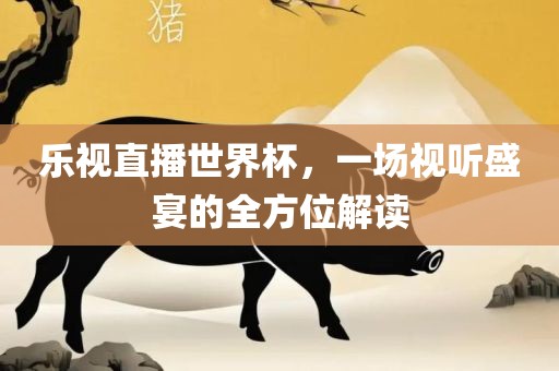 乐视直播世界杯，一场视听盛宴的全方位解读