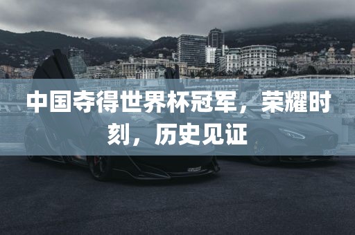 中国夺得世界杯冠军，荣耀时刻，历史见证