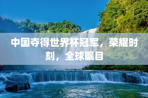 中国夺得世界杯冠军，荣耀时刻，全球瞩目洛阳市法福文化传播有限公司