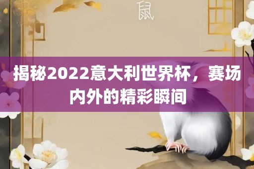 揭秘2022意大利世界杯，赛场内外的精彩瞬间