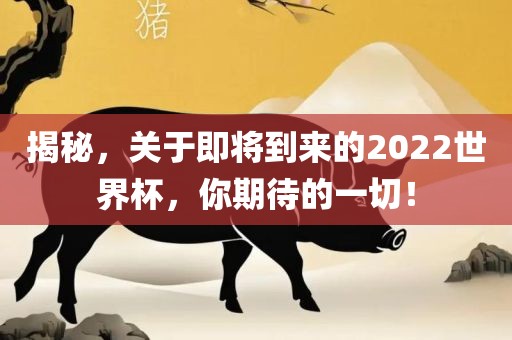 揭秘，关于即将到来的2022世界杯，你期待的一切！洛阳市法福文化传播有限公司