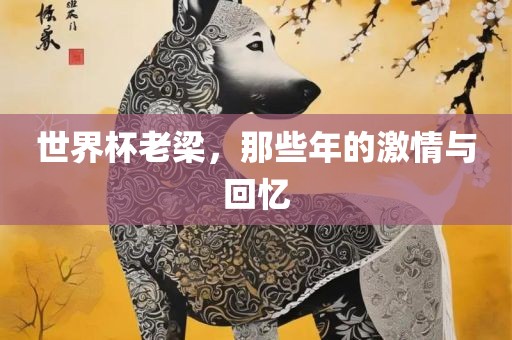 世界杯老梁，那些年的激情与回忆洛阳市法福文化传播有限公司