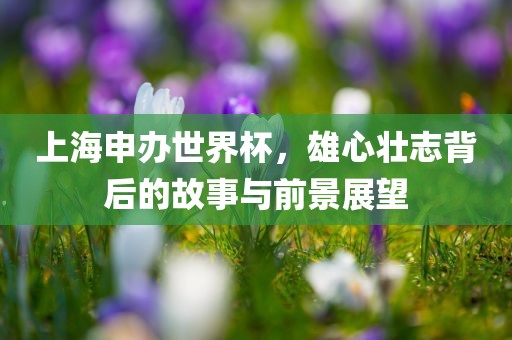 上海申办世界杯，雄心壮志背后的故事与前景展望