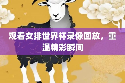 观看女排世界杯录像回放，重温精彩瞬间