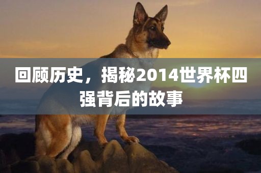 回顾历史，揭秘2014世界杯四强背后的故事