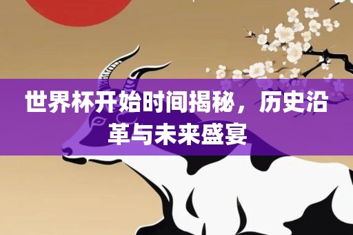 世界杯开始时间