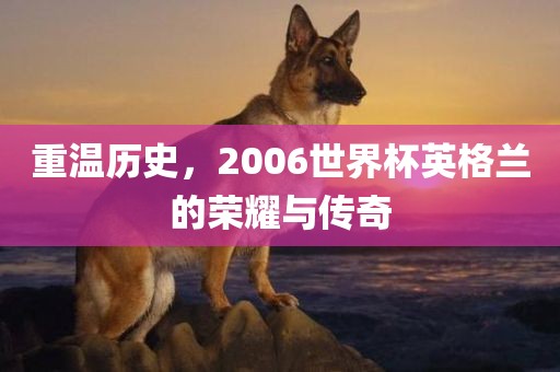 重温历史，2006世界杯英格兰的荣耀与传奇洛阳市法福文化传播有限公司