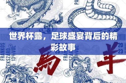 世界杯露，足球盛宴背后的精彩故事洛阳市法福文化传播有限公司