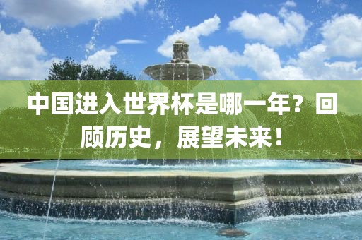 中国进入世界杯是哪一年？回顾历史，展望未来！