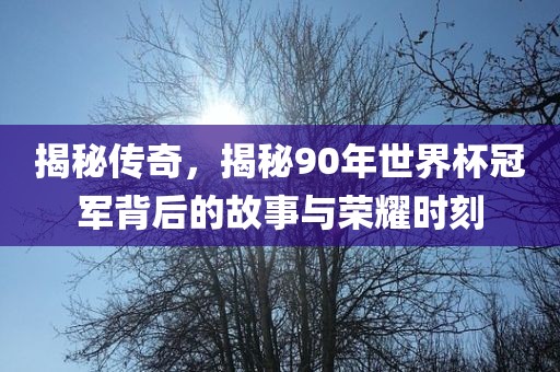 揭秘传奇，揭秘90年世界杯冠军背后的故事与荣耀时刻洛阳市法福文化传播有限公司