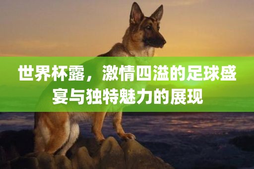 世界杯露，激情四溢的足球盛宴与独特魅力的展现洛阳市法福文化传播有限公司