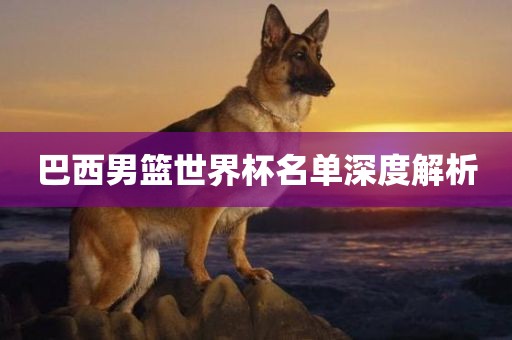 巴西男篮世界杯名单深度解析