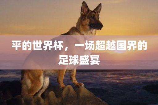 平的世界杯，一场超越国界的足球盛宴洛阳市法福文化传播有限公司