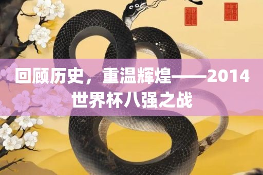 回顾历史，重温辉煌——2014世界杯八强之战