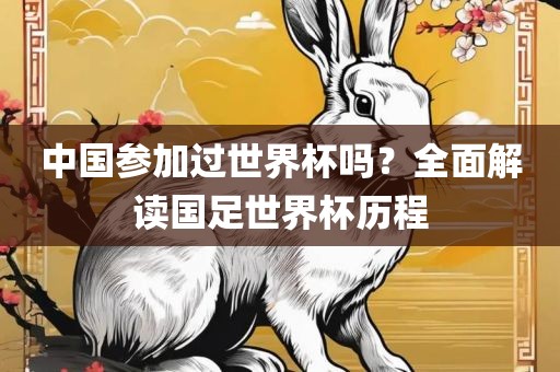 中国参加过世界杯吗？全面解读国足世界杯历程