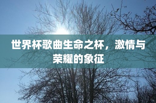 世界杯歌曲生命之杯，激情与荣耀的象征
